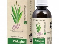 Sirop Patlagina 200ml Dacia Plant